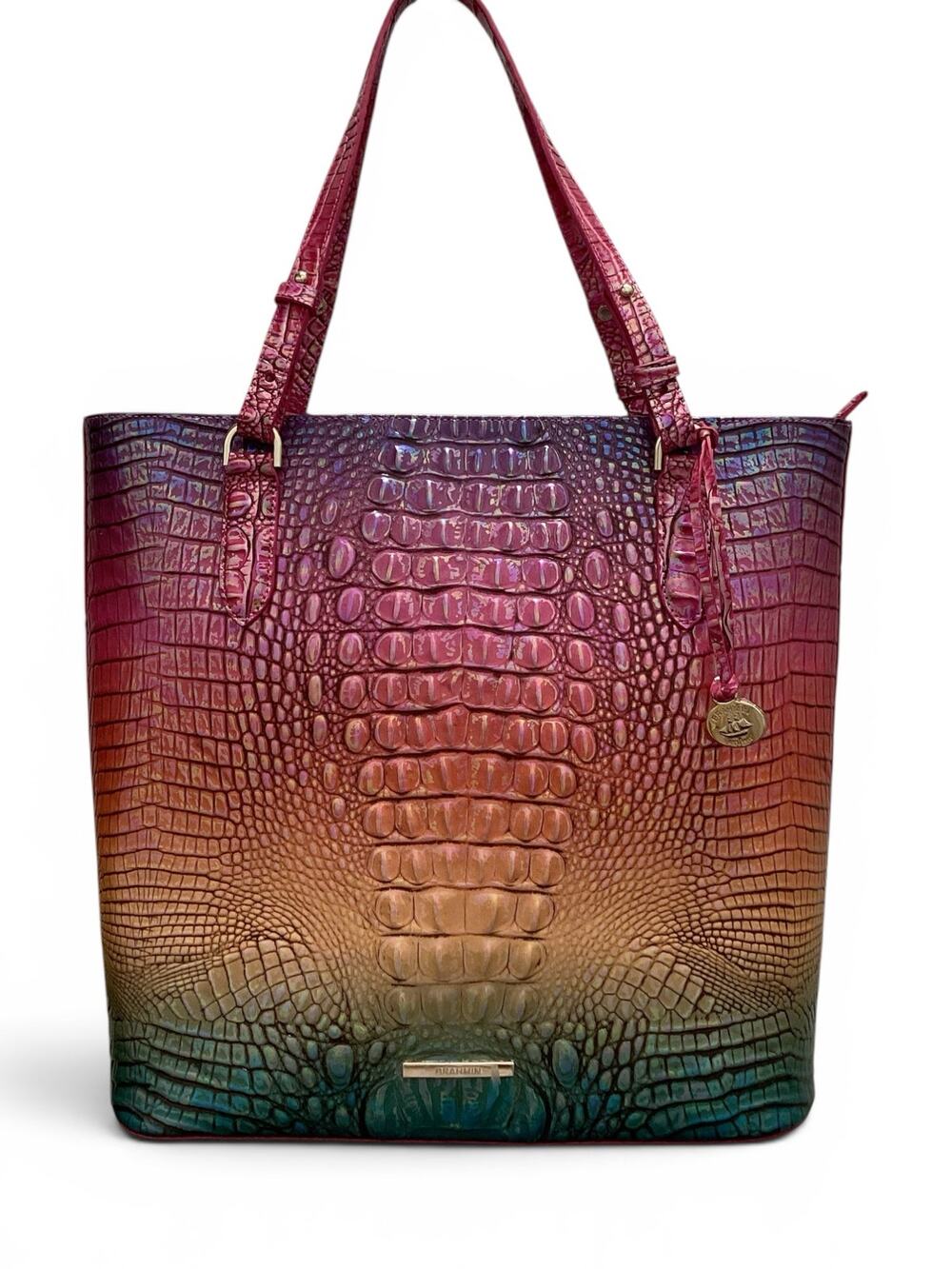 Embossed Leather Brahmin Tote Purse in Ombré Rainbow